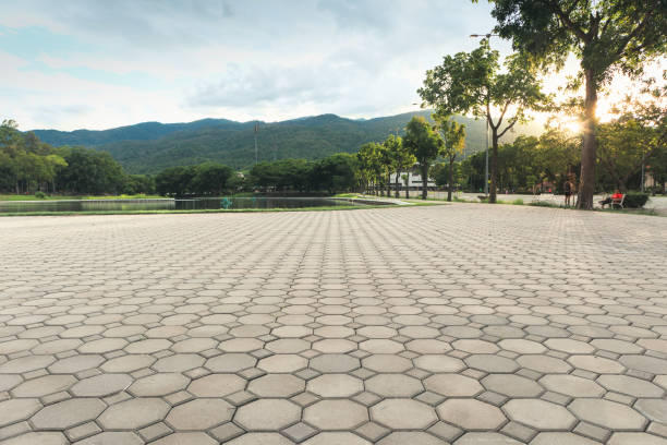 Best Driveway Pavers Near Me  in La Paloma, TX
