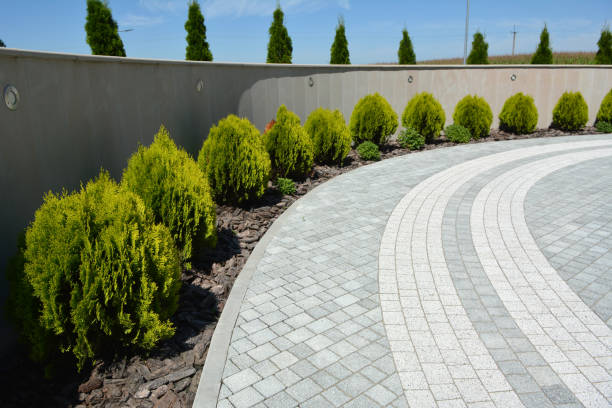 Best Residential Paver Driveway  in La Paloma, TX