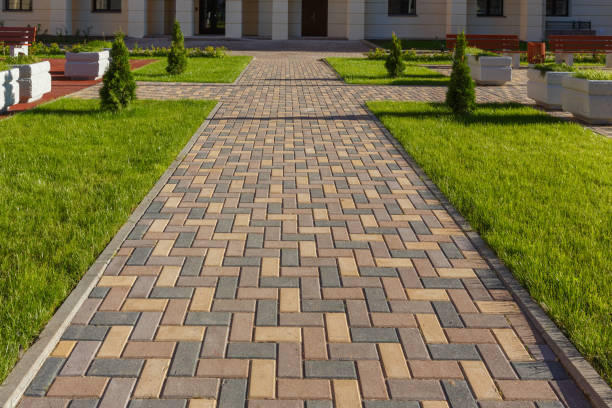 Best Paver Driveway Replacement  in La Paloma, TX